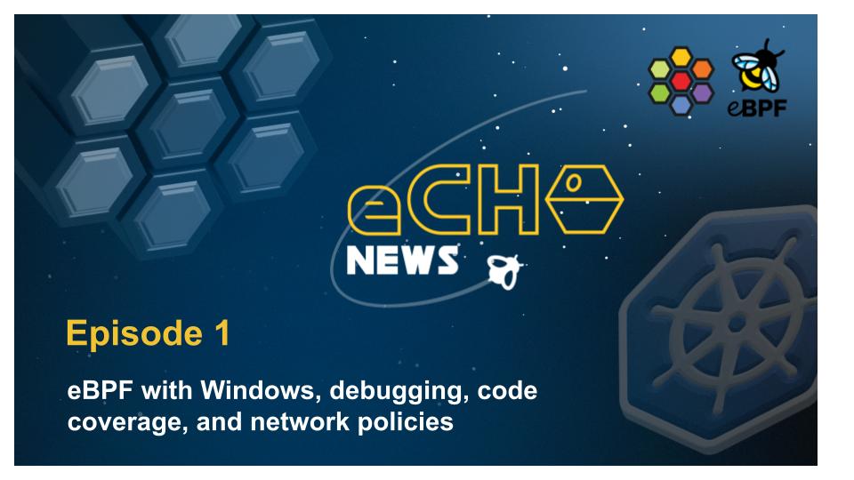 Copy of Echo-newsletter-template
