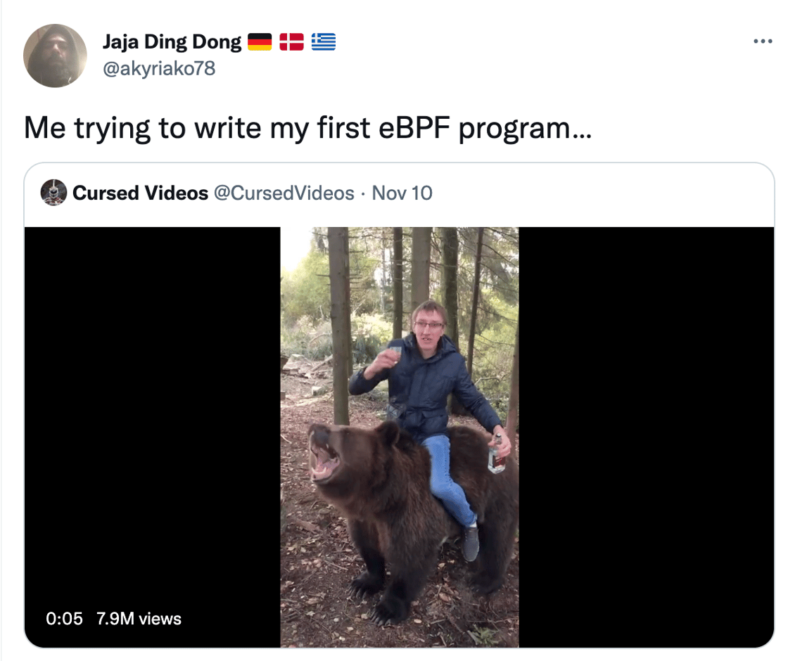 Me trying to write my first eBPF program… with a guy on a bear