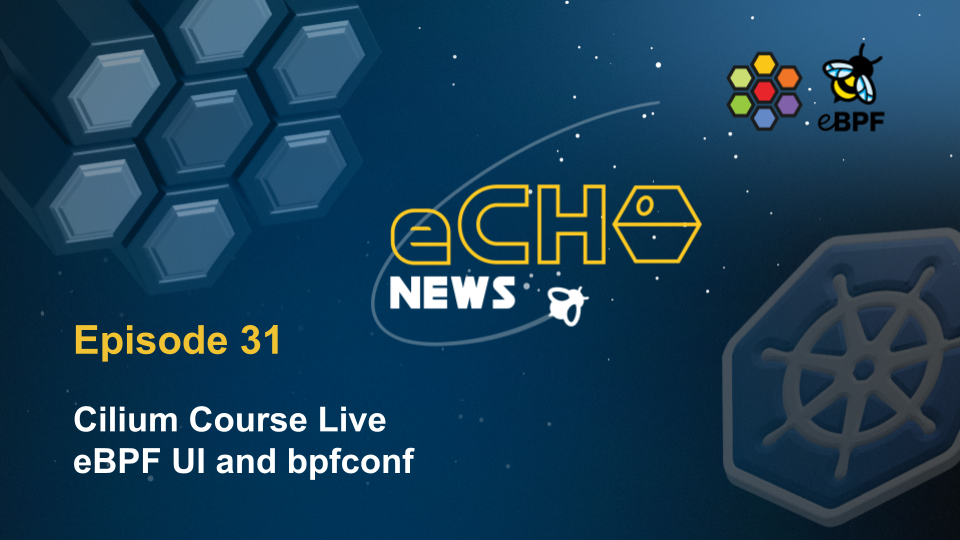 echo-newsletter-31